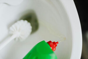 ways to unclog toilet using dish washer